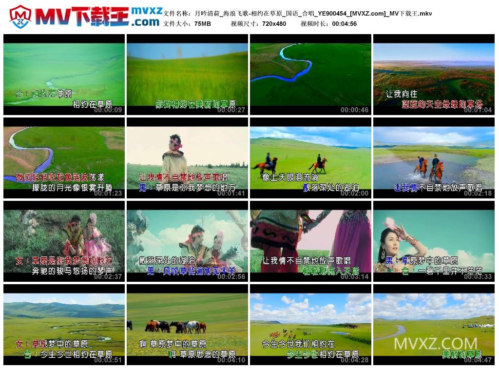 月吟清荷_海浪飞歌-相约在草原_国语_合唱_YE900454